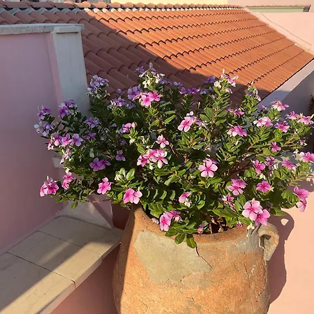 Happy Place Appartamento *